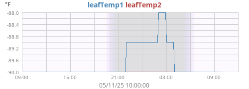 daytempleaf