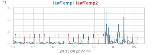 yeartempleaf