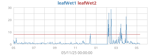 yearwetleaf